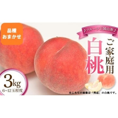 【2026年9月上旬より順次発送】♪フルーツ王国山形♪ご家庭用白桃　品種おまかせ　3Kg