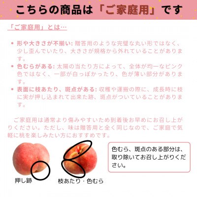 【2026年9月上旬より順次発送】♪フルーツ王国山形♪ご家庭用白桃　品種おまかせ　3Kg