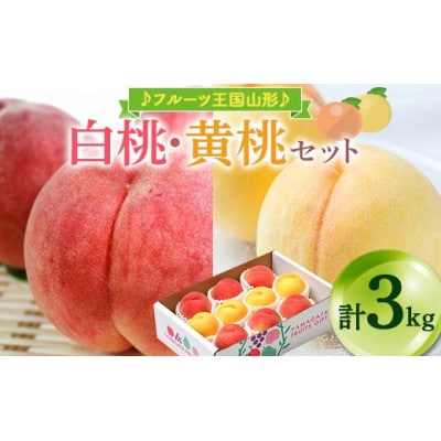 【2026年8月中旬より順次発送】♪フルーツ王国山形♪白桃・黄桃セット　品種おまかせ　合計3kg