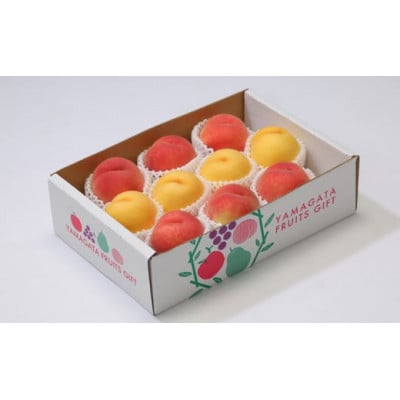 【2026年8月中旬より順次発送】♪フルーツ王国山形♪白桃・黄桃セット　品種おまかせ　合計3kg