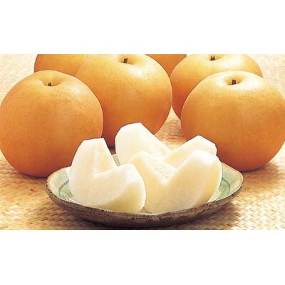 【2026年9月上旬より順次発送)】♪フルーツ王国山形♪　白桃・和梨セット 3kg(6～12玉程度)