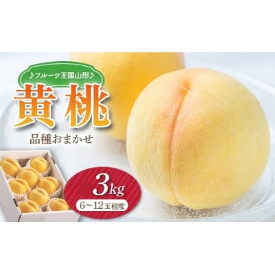 【2026年8月中旬より順次発送】♪フルーツ王国山形♪黄桃　品種おまかせ　秀品　3kg(6～12玉)