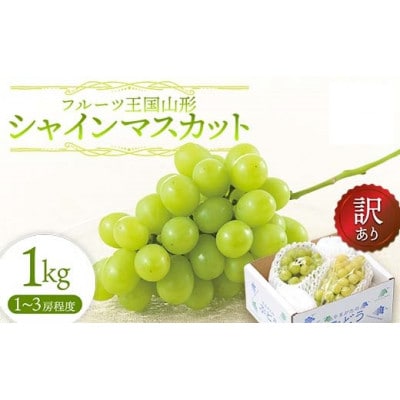 【2025年9月上旬より順次発送】♪フルーツ王国山形♪訳ありシャインマスカット1kg(1～3房)