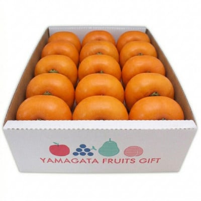 【2026年9月上旬より順次発送】♪フルーツ王国山形♪庄内柿 2kg(10～15個程度)