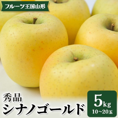 【2026年10月中旬より順次発送】♪フルーツ王国山形♪シナノゴールド 秀品　5kg(10～20玉)