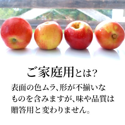 【2026年9月中旬より順次発送】♪フルーツ王国山形♪早生ふじりんご　ご家庭用　5kg
