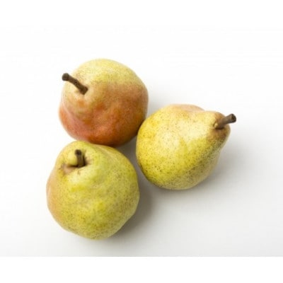 【2026年11月から順次発送】♪フルーツ王国山形♪ラ・フランス　ご家庭用　3kg(6～12玉程度)