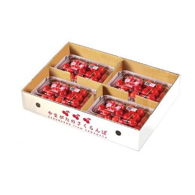 《2026年度発送》♪フルーツ王国山形♪さくらんぼ　佐藤錦　Lサイズ　720g(180g×4) 秀品