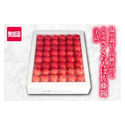 《2026年度発送》無加温 山形さくらんぼ 佐藤錦 特秀品 Lサイズ 300g 手詰め