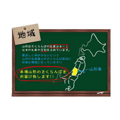山形県産さくらんぼ　佐藤錦☆秀2L・Lサイズ混合☆500gバラ詰【6月上旬～6月下旬発送】