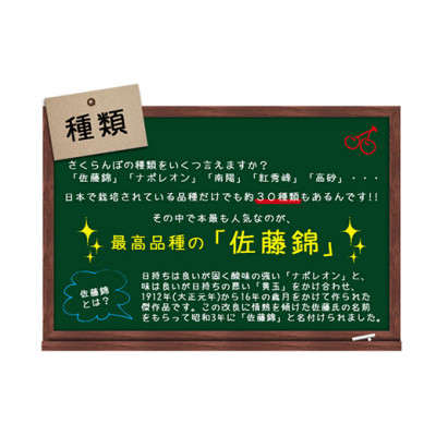 山形県産さくらんぼ　佐藤錦☆秀2L・Lサイズ混合☆500gバラ詰【6月上旬～6月下旬発送】