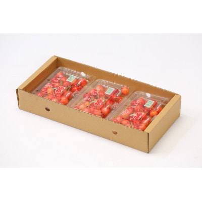 【2026年度発送】☆山形県産さくらんぼ　紅秀峰☆秀品Lサイズ以上540g(180g×3P)