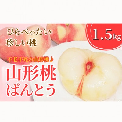 【2026年度発送】山形県産桃ばんとう1.5kg