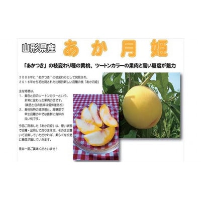 【2026年度発送】♪フルーツ王国山形♪マーブル桃【あか月姫】秀品2kg 7月下旬～8月上旬発送