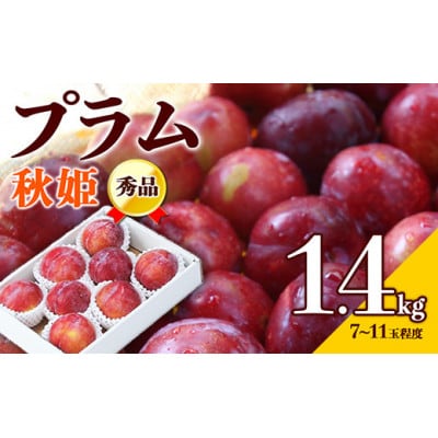 【2026年度発送】☆フルーツ王国山形☆プラム(秋姫)1.4kg