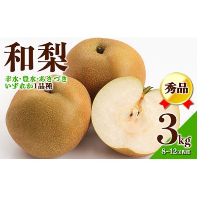 【2026年度発送】☆フルーツ王国山形☆和梨3kg秀品 (品種おまかせ)