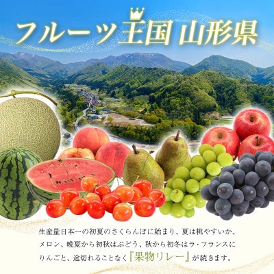 【2026年度発送】☆フルーツ王国山形☆和梨3kg秀品 (品種おまかせ)