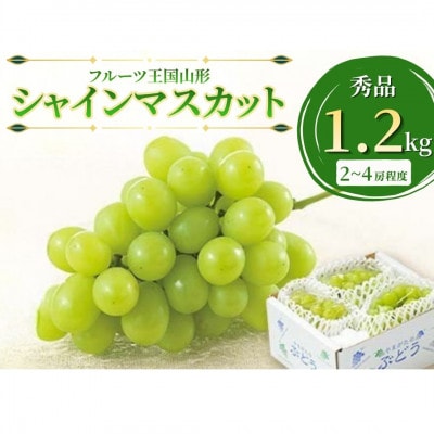 【2026年9月発送】♪フルーツ王国山形 シャインマスカット1.2kg
