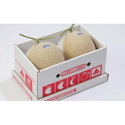【2026年度発送】♪フルーツ王国山形♪ アールスメロン 秀品 3kg(2玉)