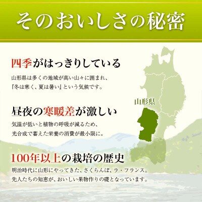 【2026年度発送】♪フルーツ王国山形♪ アールスメロン 秀品 3kg(2玉)