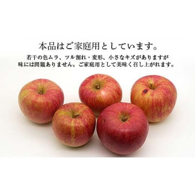 【2026年度発送】♪フルーツ王国山形♪ サンふじりんご (ご家庭用) 5kg