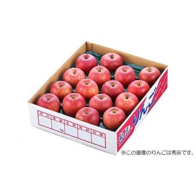 【2026年度発送】♪フルーツ王国山形♪ サンふじりんご (ご家庭用) 5kg