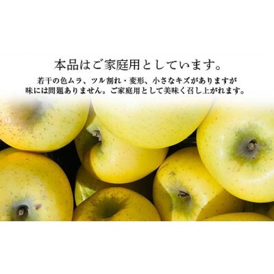 【2026年度発送】♪フルーツ王国山形♪ シナノゴールド(ご家庭用) 5kg