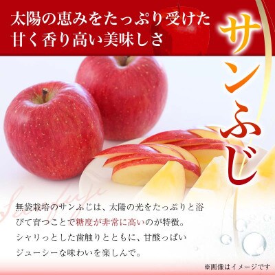 【2026年度発送】♪フルーツ王国山形♪ 早生サンふじりんご 秀品 5kg　9月中旬より順次発送