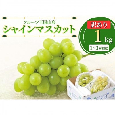 【2026年9月発送】♪フルーツ王国山形♪ 訳あり シャインマスカット 1kg