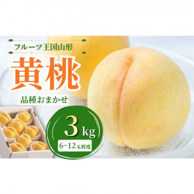 【2026年度発送】♪フルーツ王国山形♪黄桃3kg(品種おまかせ)