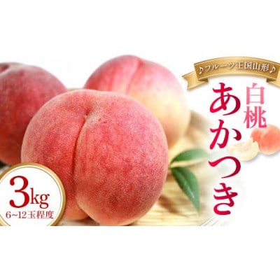 【2026年度発送】♪フルーツ王国山形♪白桃(あかつき) 秀品 3kg