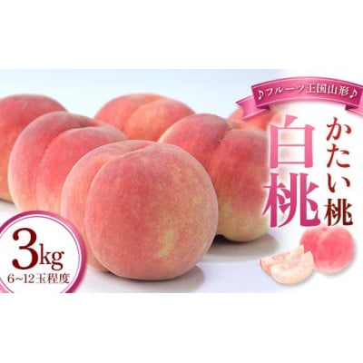 【2026年度発送】♪フルーツ王国山形♪白桃3kg(かたい桃　品種おまかせ)