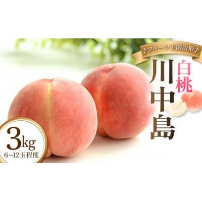 【2026年度発送】♪フルーツ王国山形♪白桃3kg(川中島)