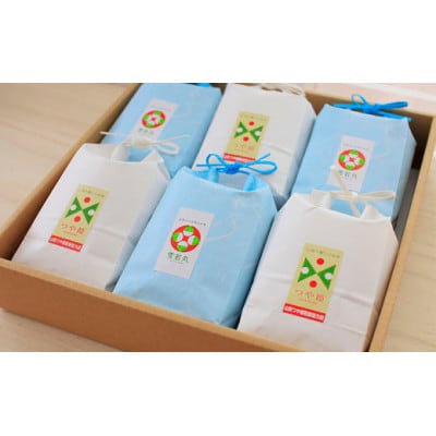 発送直前精米★山形特栽お米つや姫 3合×3袋、雪若丸 3合×3袋 食べくらべ(計6袋)