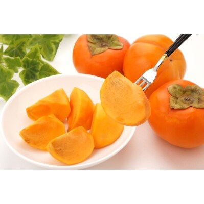 【先行受付】庄内柿約3kg