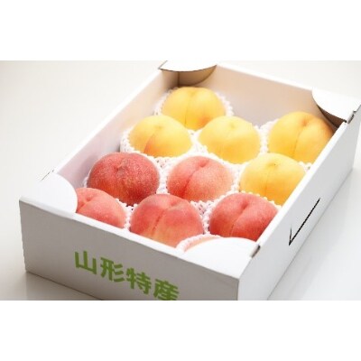 【令和4年度先行受付】白桃と黄桃の詰め合わせ約2kg【(株)さくらんぼファクトリー】