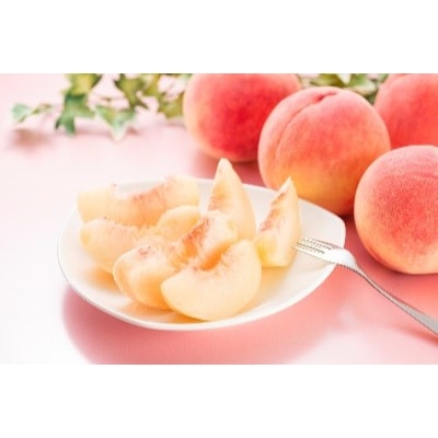 【先行受付】白桃約2kg