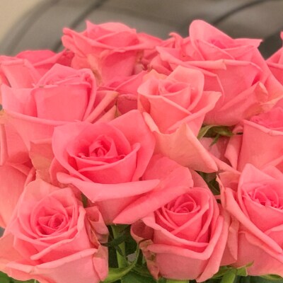 薔薇名産地山形「薔薇20本」ピンク系【(株)さくらんぼファクトリー】