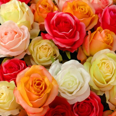 薔薇名産地山形「薔薇20本」色おまかせ 5色以上【(株)さくらんぼファクトリー】