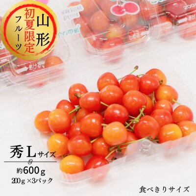 【令和4年度発送先行受付】さくらんぼ佐藤錦 約600g 秀Lサイズ以上