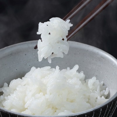 令和5年山形県産はえぬき10kg(5kg×2袋)　精米