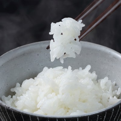 【2025年2月中旬発送】令和6年山形県産特別栽培米つや姫5kg 精米
