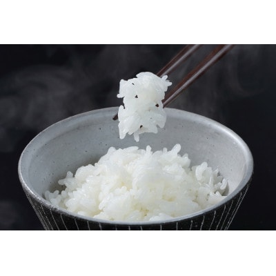 令和7年山形県産特別栽培米つや姫5kg 精米