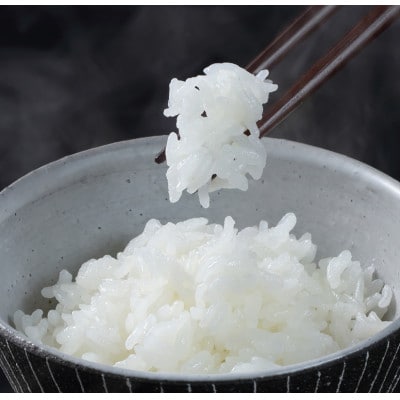 令和8年産　山形県特別栽培米つや姫5㎏　精米