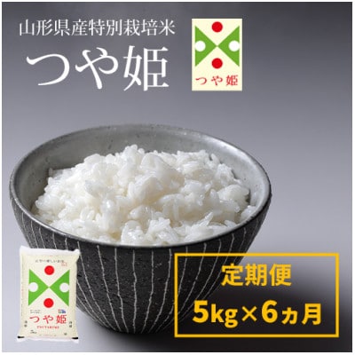 【毎月定期便】山形県産特別栽培米つや姫白米 5kg全6回