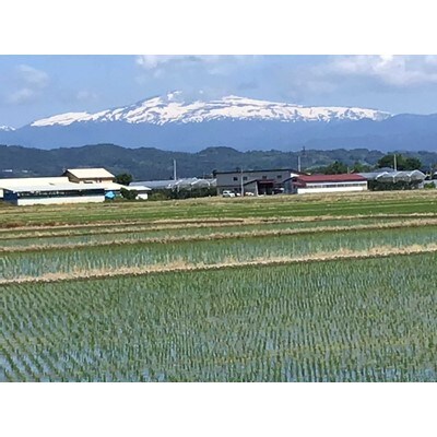 【2020年産先行受付】山形県産三米(つや姫・雪若丸・はえぬき)食べくらべセット　合計6kg