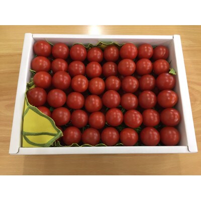 【令和5年産】山形県産高糖度ミディトマト《シンディスィート》2kg