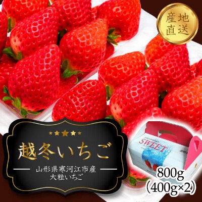 山形県寒河江市産【越冬いちご】約400g×2パック