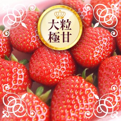 山形県寒河江市産【越冬いちご】約400g×2パック
