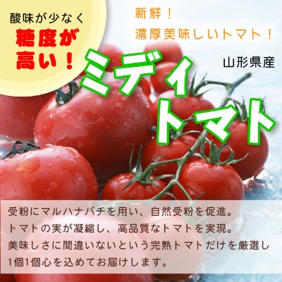 22年産先行受付 山形県産高糖度ミディトマト シンディスイート 3kg お礼品詳細 ふるさと納税なら さとふる